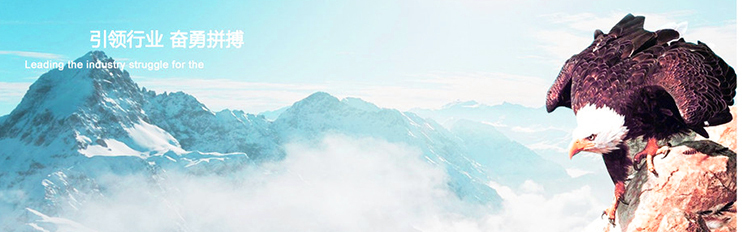 1535337317497112.jpg qiye jianjie